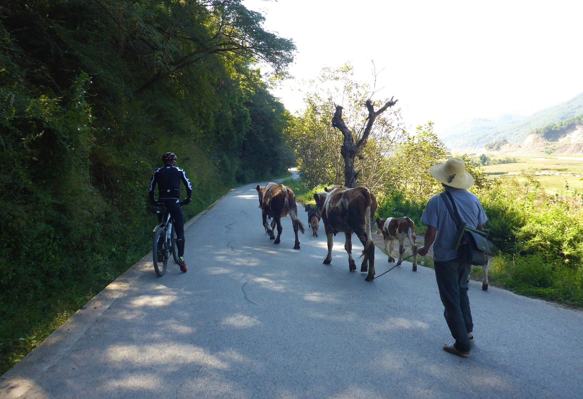 Photos from our China - Yunnan Cycling Holiday